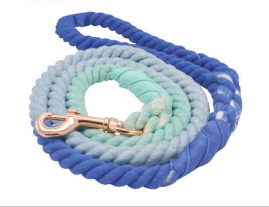 ROPE LEASH - OCEANSIDE RAINBOW